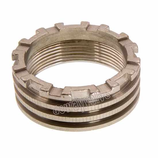 황동 DIN2999 니켈 도금 PPR 인서트