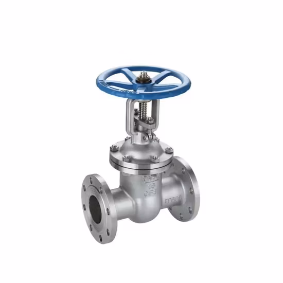 OEM/ODM 단조 풀 포트 NPT 600wog 1/2